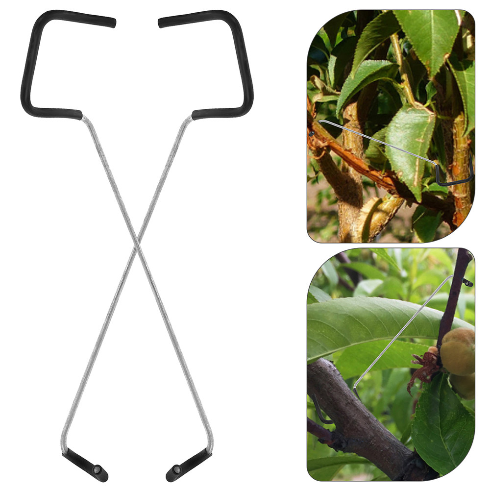 Bonsai Branch Trunk Trainer 10 - Bonsai Garden Tree recension och pris