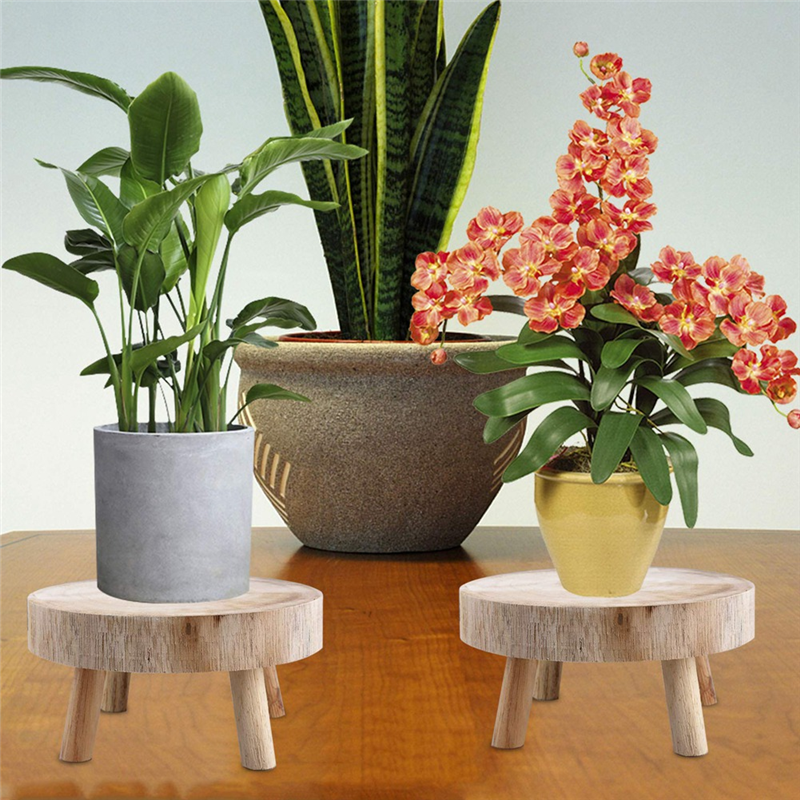 FBIL-Mini Wooden Stool Display - Bonsai Garden Display Stands recension och pris