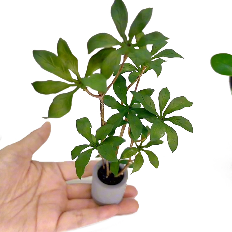 1:6 Dollhouse Miniature Potted - Bonsai Garden House recension och pris