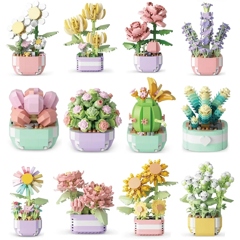 Flower Succulents Building Blo - Bonsai Garden Tree recension och pris