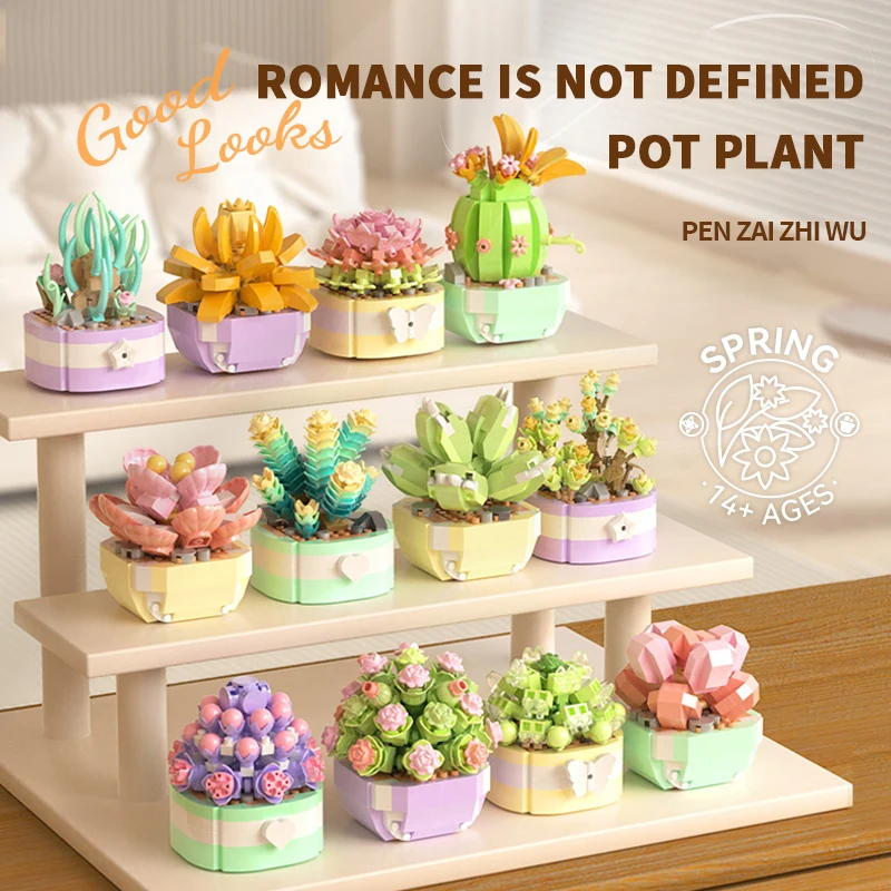 Flower Succulents Building Blo - Bonsai Garden Tree recension och pris