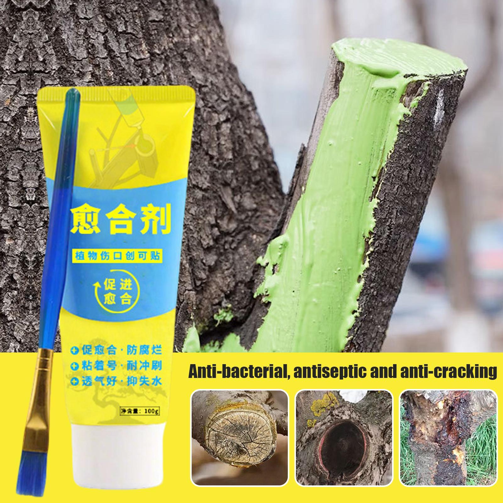 100g Tree Wound Bonsai Cut Pas - Bonsai Garden Tree recension och pris