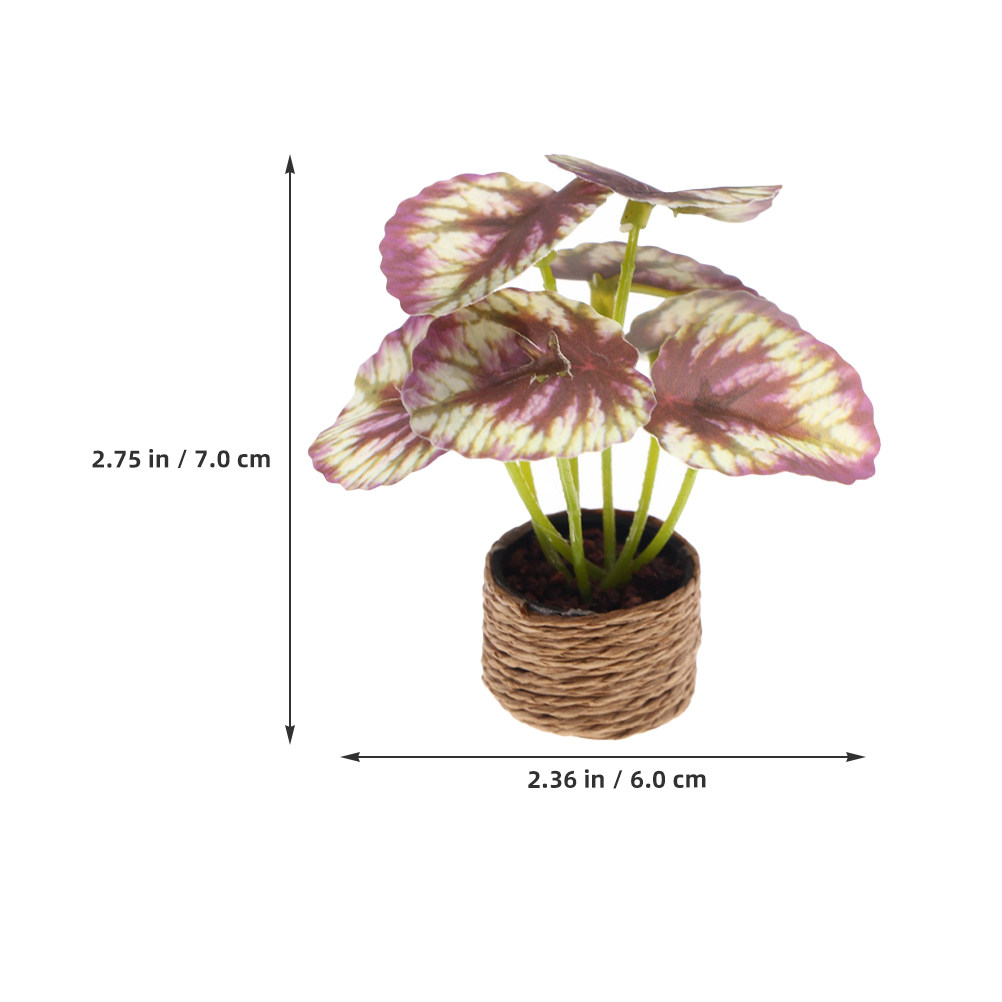 4Pcs Miniature Artificial Bons - Bonsai Garden House recension och pris