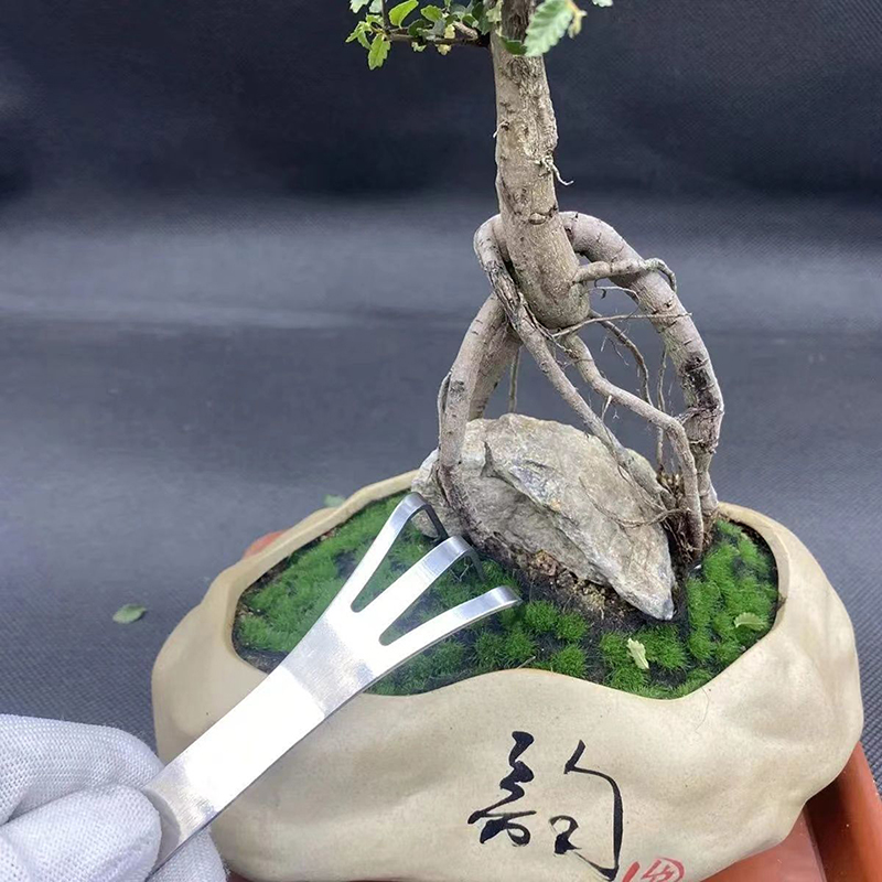 1Pc Stainless Steel Root Rake  - Bonsai Garden Tree recension och pris