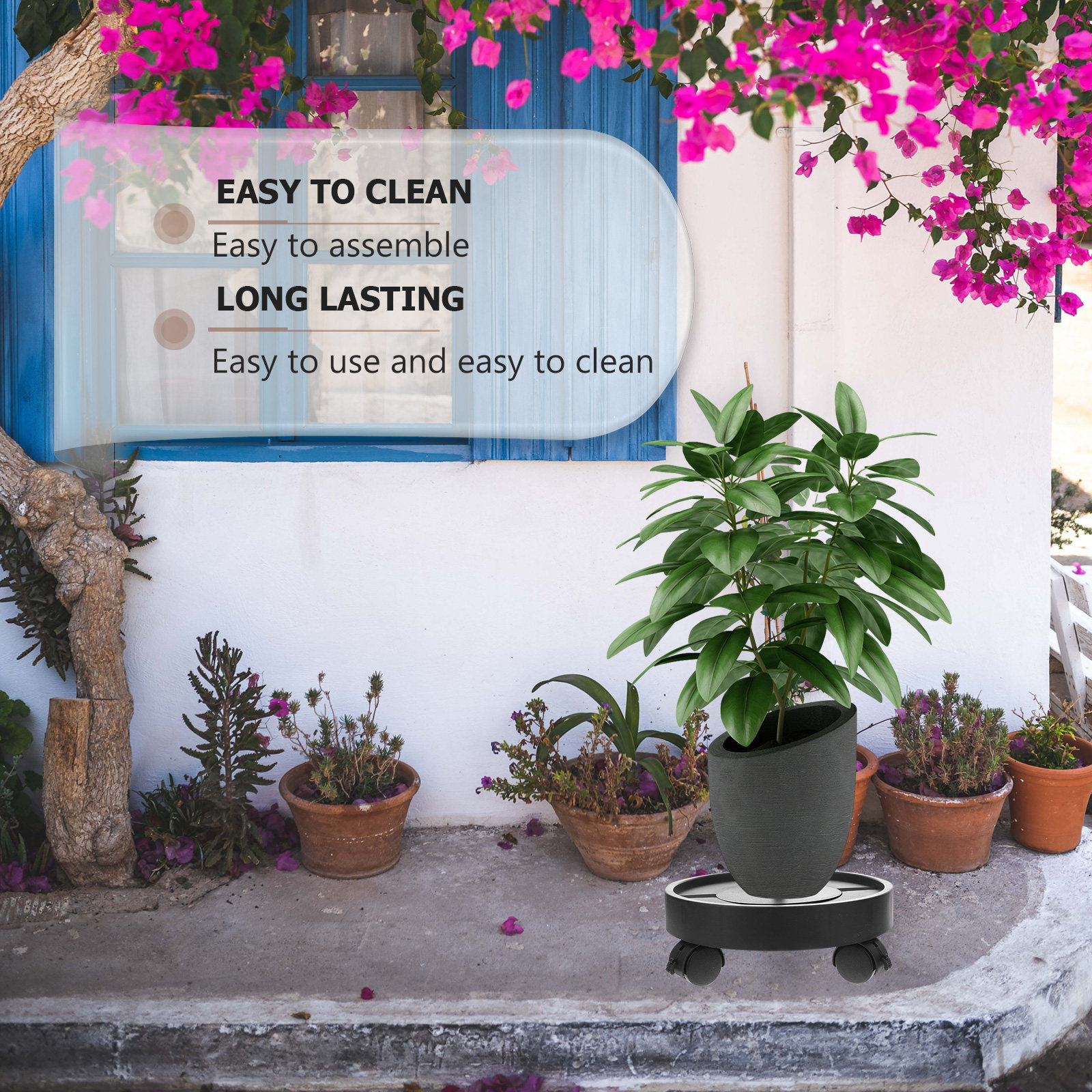 Automatic Water Absorption Bas - Bonsai Garden Plants recension och pris