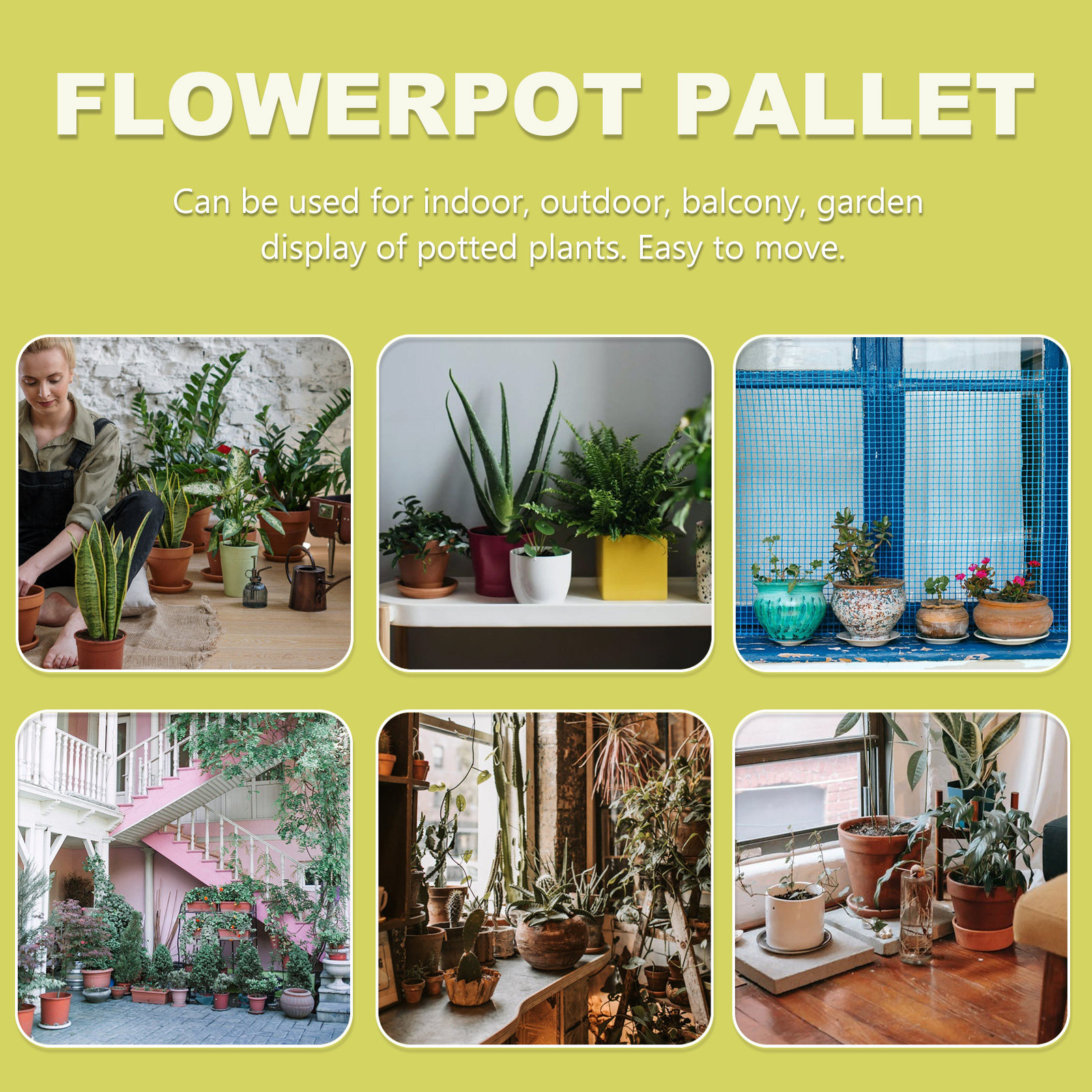Automatic Water Absorption Bas - Bonsai Garden Plants recension och pris