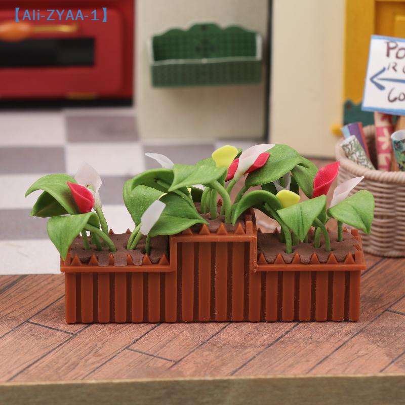 Miniature Calla Lily Potted Pl - Bonsai Garden House recension och pris