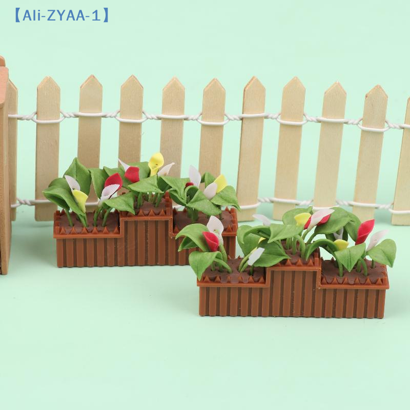 Miniature Calla Lily Potted Pl - Bonsai Garden House recension och pris