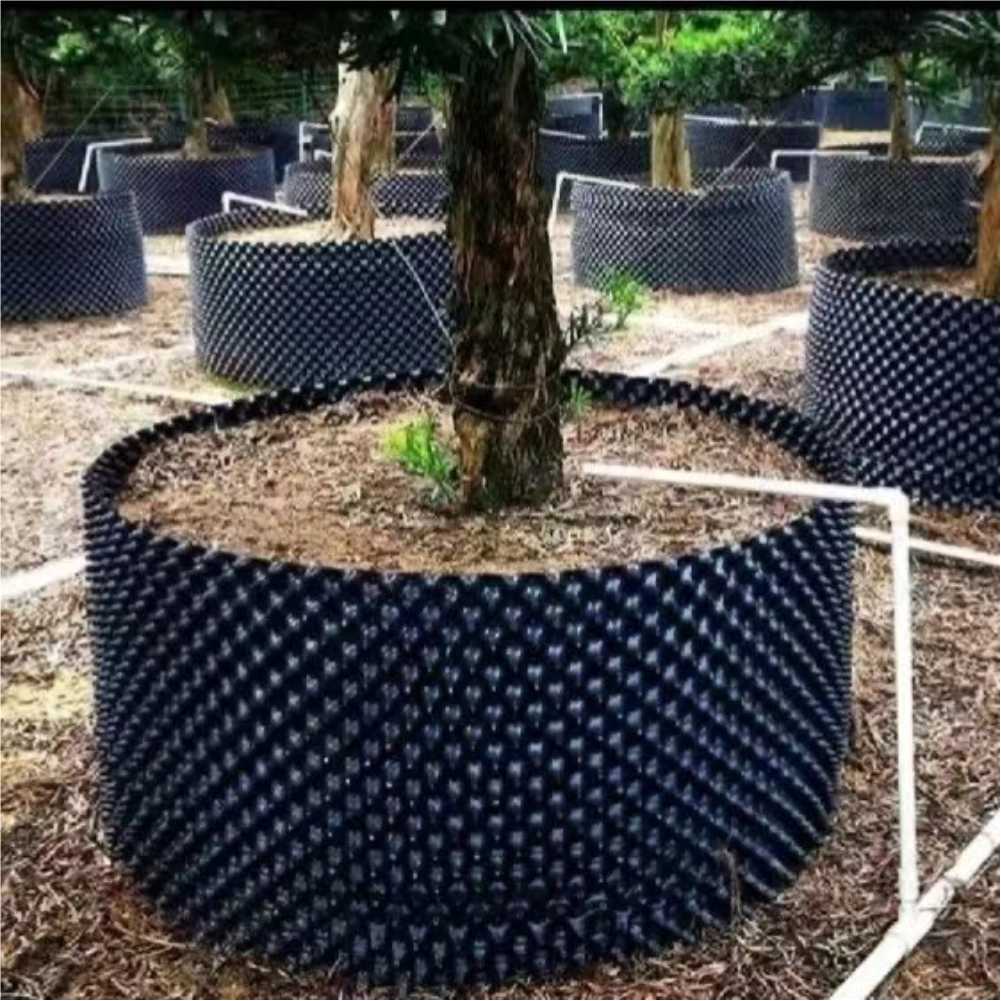 Grow Container Garden Tree Bon - Bonsai Garden Tree recension och pris