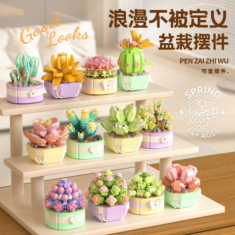 Flower Succulents Building Blo - Bonsai Garden Tree recension och pris
