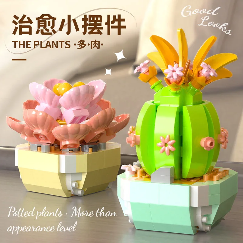 Flower Succulents Building Blo - Bonsai Garden Tree recension och pris