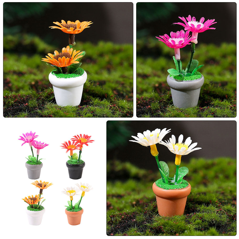 4Pcs Miniature Bonsai Plant Do - Bonsai Garden House recension och pris