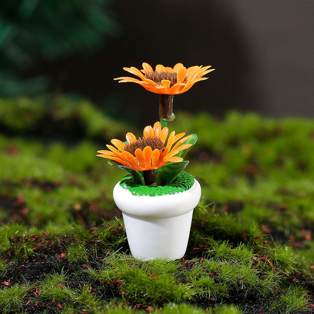 4Pcs Miniature Bonsai Plant Do - Bonsai Garden House recension och pris