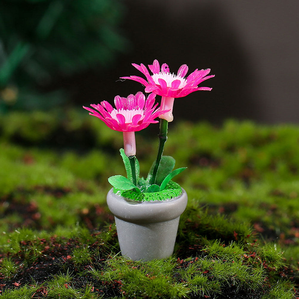 4Pcs Miniature Bonsai Plant Do - Bonsai Garden House recension och pris