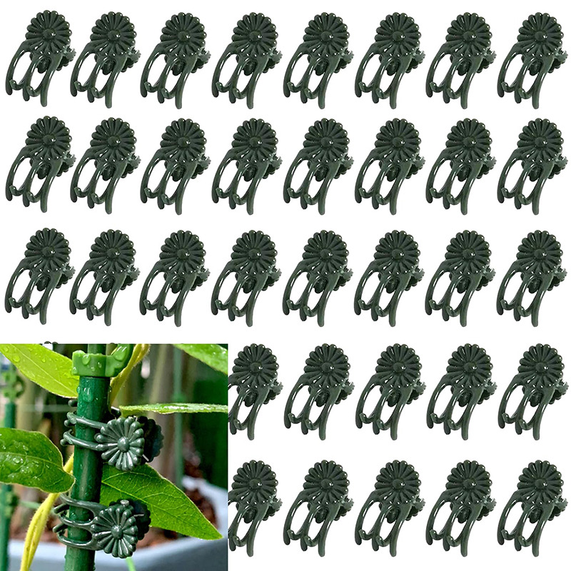 100/200pcs Clips for Garden Pl - Bonsai Wire Aluminum recension och pris
