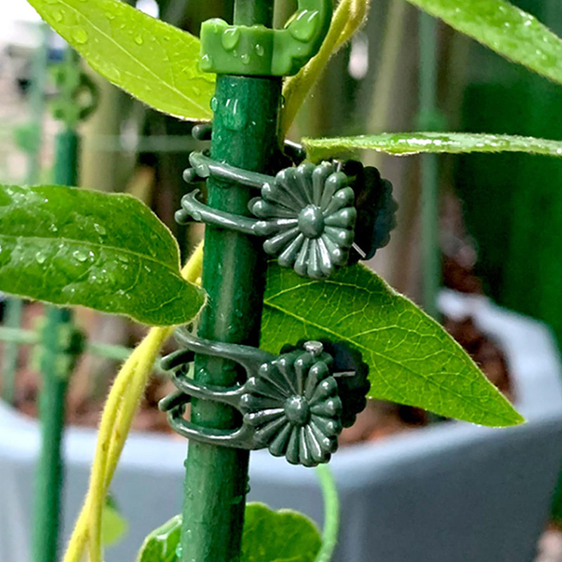 100/200pcs Clips for Garden Pl - Bonsai Wire Aluminum recension och pris