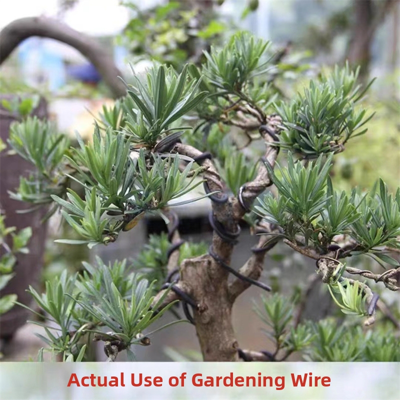 1.5MM Bonsai Wires Aluminum Bo - Bonsai Wire Aluminum recension och pris