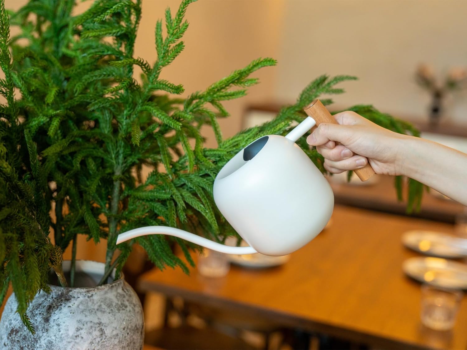 1.2L/41oz Metal Watering Can w - Bonsai Garden Plants recension och pris