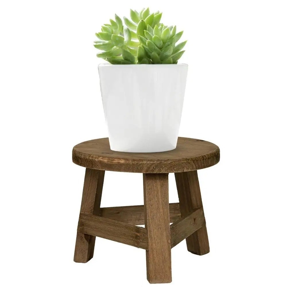 Modern Bonsai Rack Wooden Mini - Bonsai Garden Display Stands recension och pris