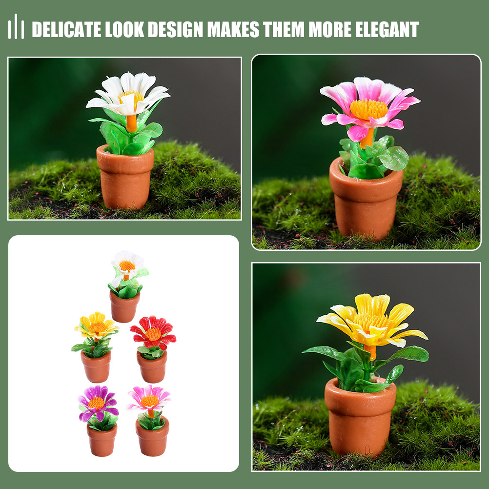 5Pcs Miniature Bonsai Decor fo - Bonsai Garden House recension och pris