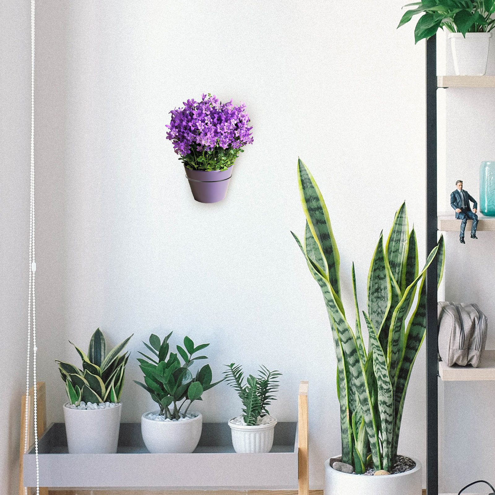 Iron Wall-Mounted Flowerpot Ra - Bonsai Garden Plants recension och pris