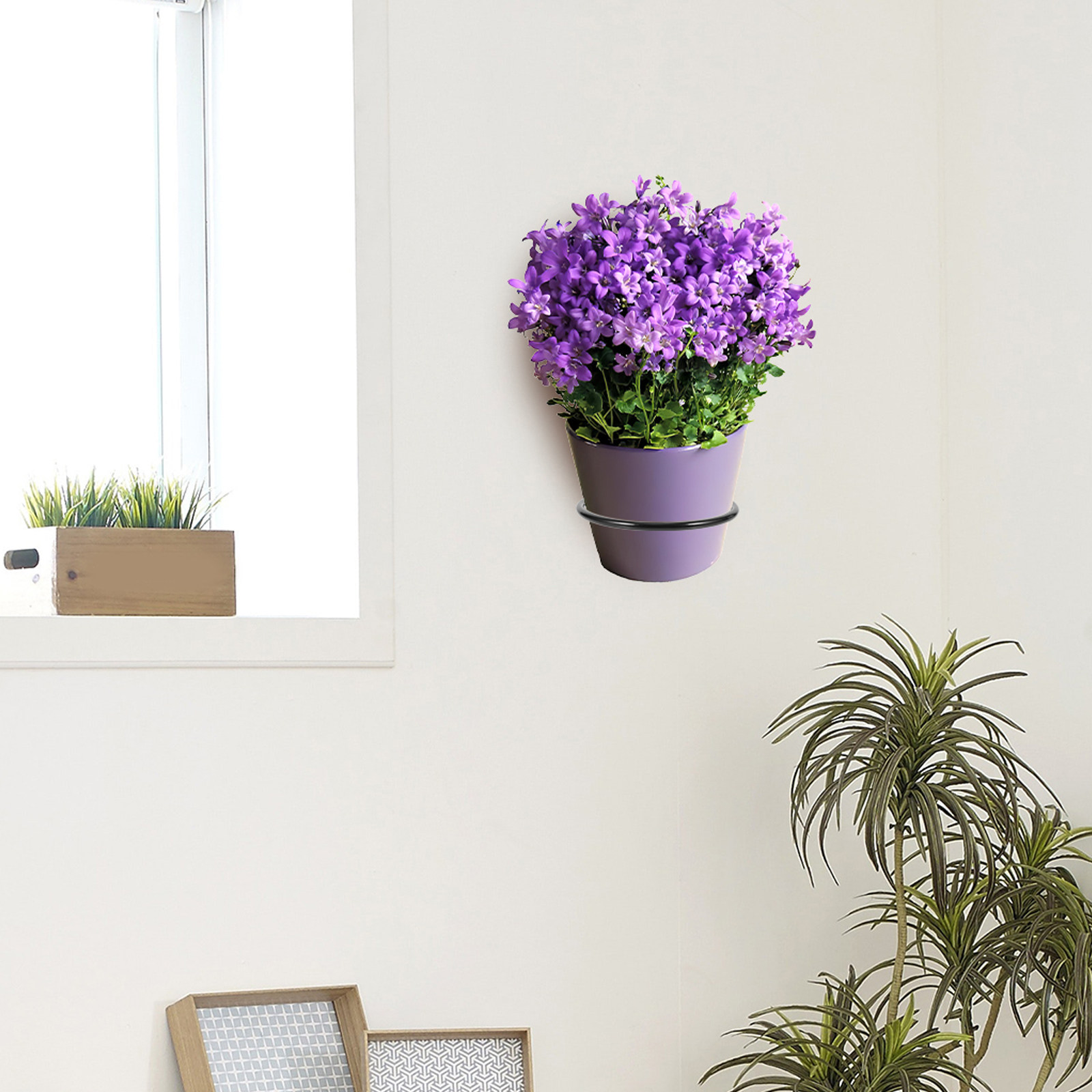 3Pcs Wall-Mounted Plant Pot Ri - Bonsai Garden Plants recension och pris