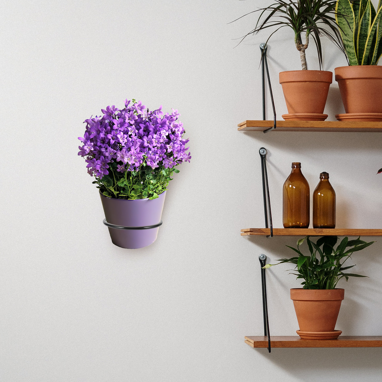 3Pcs Wall-Mounted Plant Pot Ri - Bonsai Garden Plants recension och pris